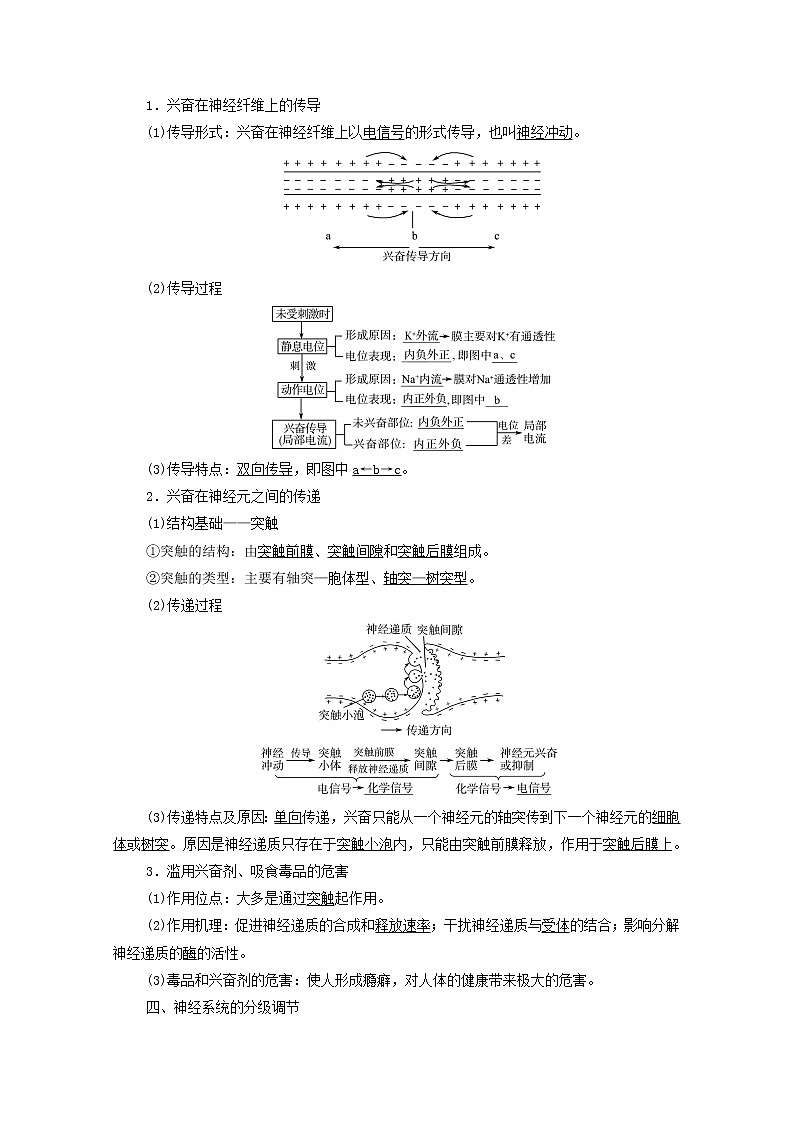 2022版高考生物一轮复习第8单元生命活动的调节第23课神经调节学案新人教版第3页