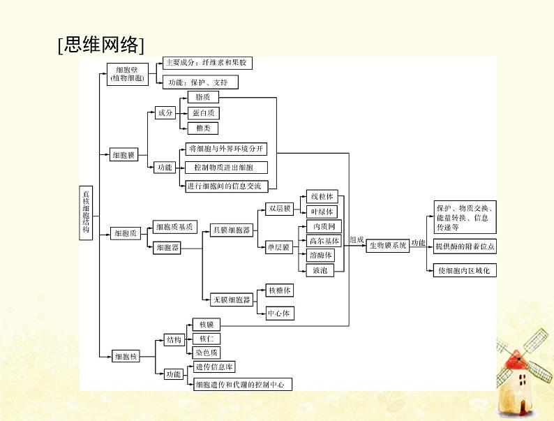 高考生物一轮复习第3章细胞的基本结构第13节细胞膜__系统的边界细胞核__系统的控制中心课件必修1第3页