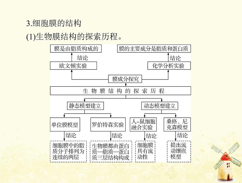 高考生物一轮复习第3章细胞的基本结构第13节细胞膜__系统的边界细胞核__系统的控制中心课件必修1第7页