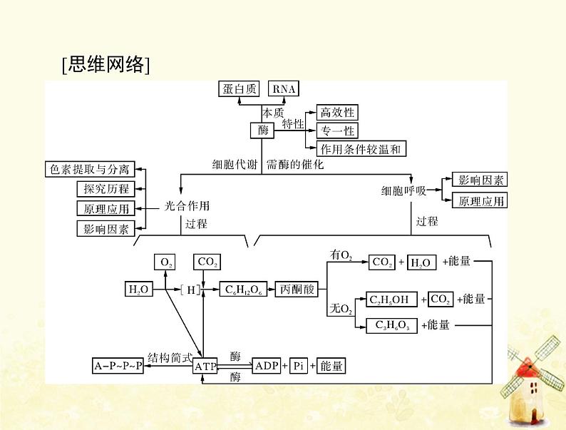 高考生物一轮复习第5章细胞的能量供应和利用第12节降低化学反应活化能的酶细胞的能量“通货”__ATP课件必修1第3页