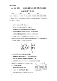 高中生物第二节 光合作用——光能的捕获和转换精品综合训练题