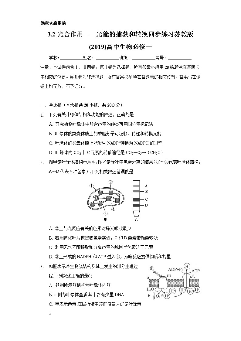 3.2光合作用——光能的捕获和转换  同步练习苏教版(2019)高中生物必修一01