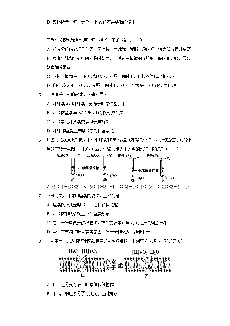 3.2光合作用——光能的捕获和转换  同步练习苏教版(2019)高中生物必修一02