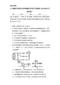 苏教版 (2019)必修1《分子与细胞》第三节 细胞中的蛋白质和核酸精品同步训练题