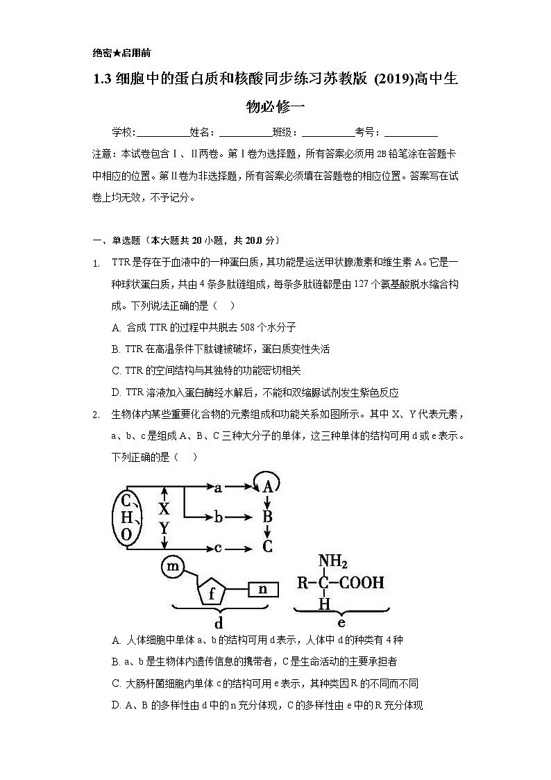 1.3细胞中的蛋白质和核酸 同步练习苏教版(2019)高中生物必修一01