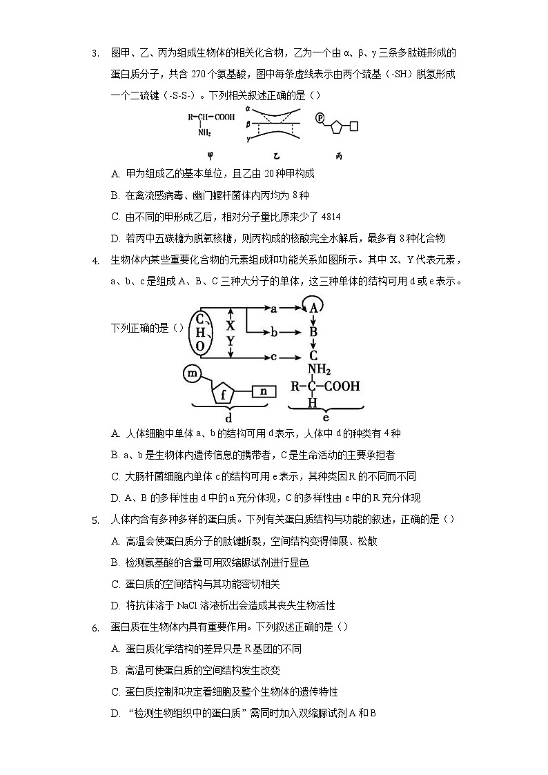1.3细胞中的蛋白质和核酸 同步练习苏教版(2019)高中生物必修一02