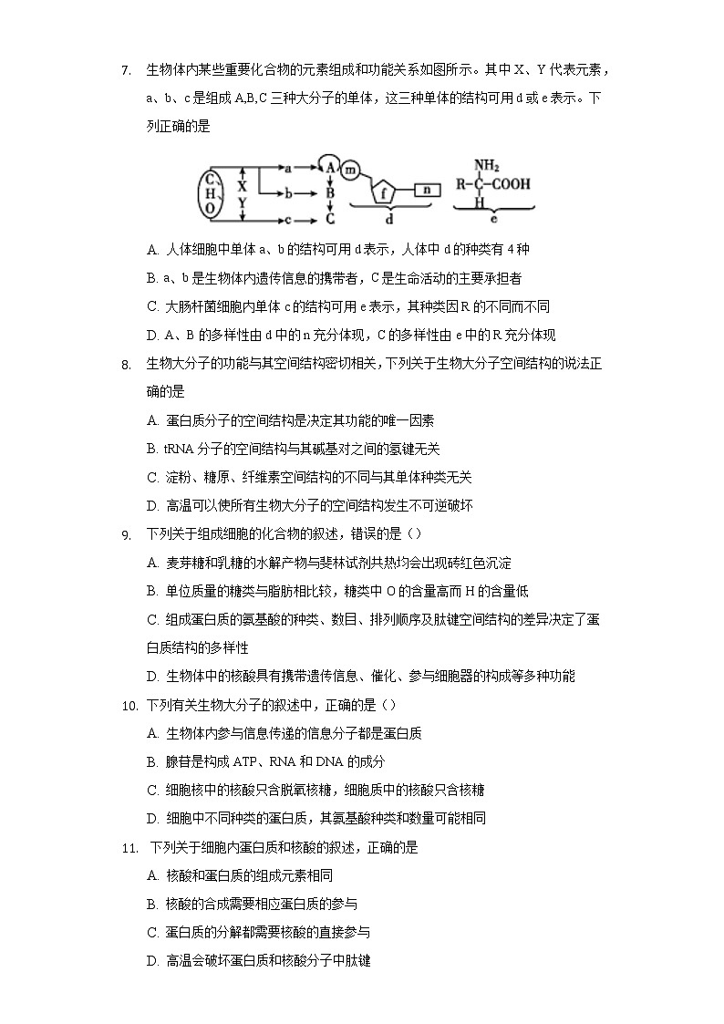 1.3细胞中的蛋白质和核酸 同步练习苏教版(2019)高中生物必修一03