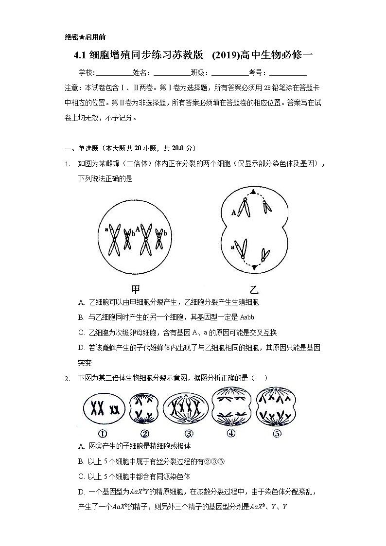 4.1细胞增殖  同步练习苏教版(2019)高中生物必修一01