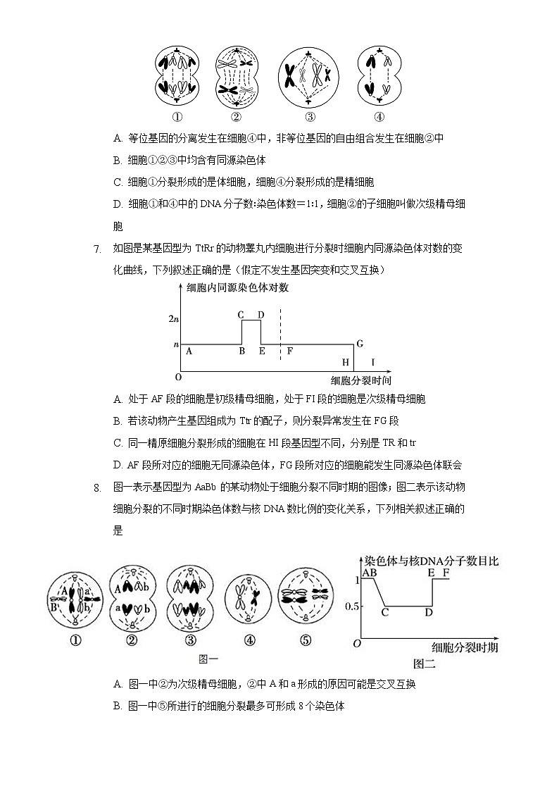 4.1细胞增殖  同步练习苏教版(2019)高中生物必修一03