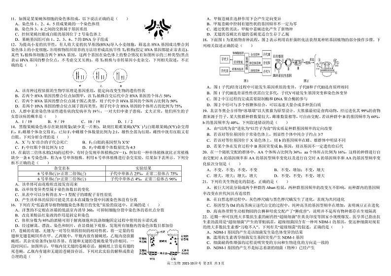 2021-2022学年四川省成都市树德中学高二上学期10月阶段性测试生物试题 PDF版02