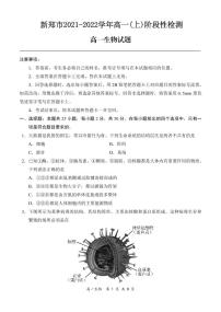 2021-2022学年河南省郑州市新郑市高一上学期10月第一次阶段性检测生物试题 PDF版