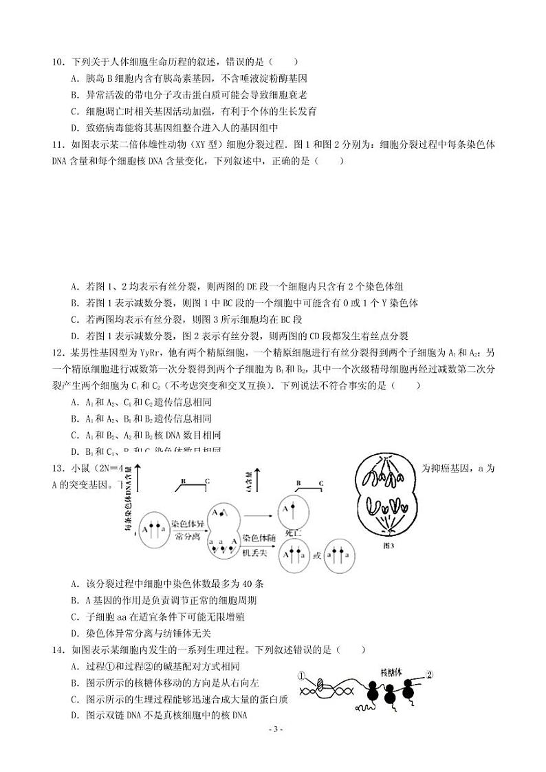 2021届河南省信阳市罗山县高三上学期第二次调研考试生物试题 PDF版03