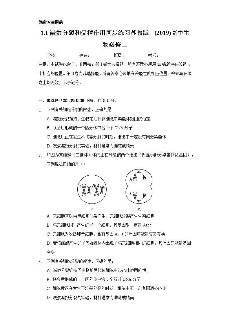 1.1减数分裂和受精作用  同步练习苏教版(2019)高中生物必修一01