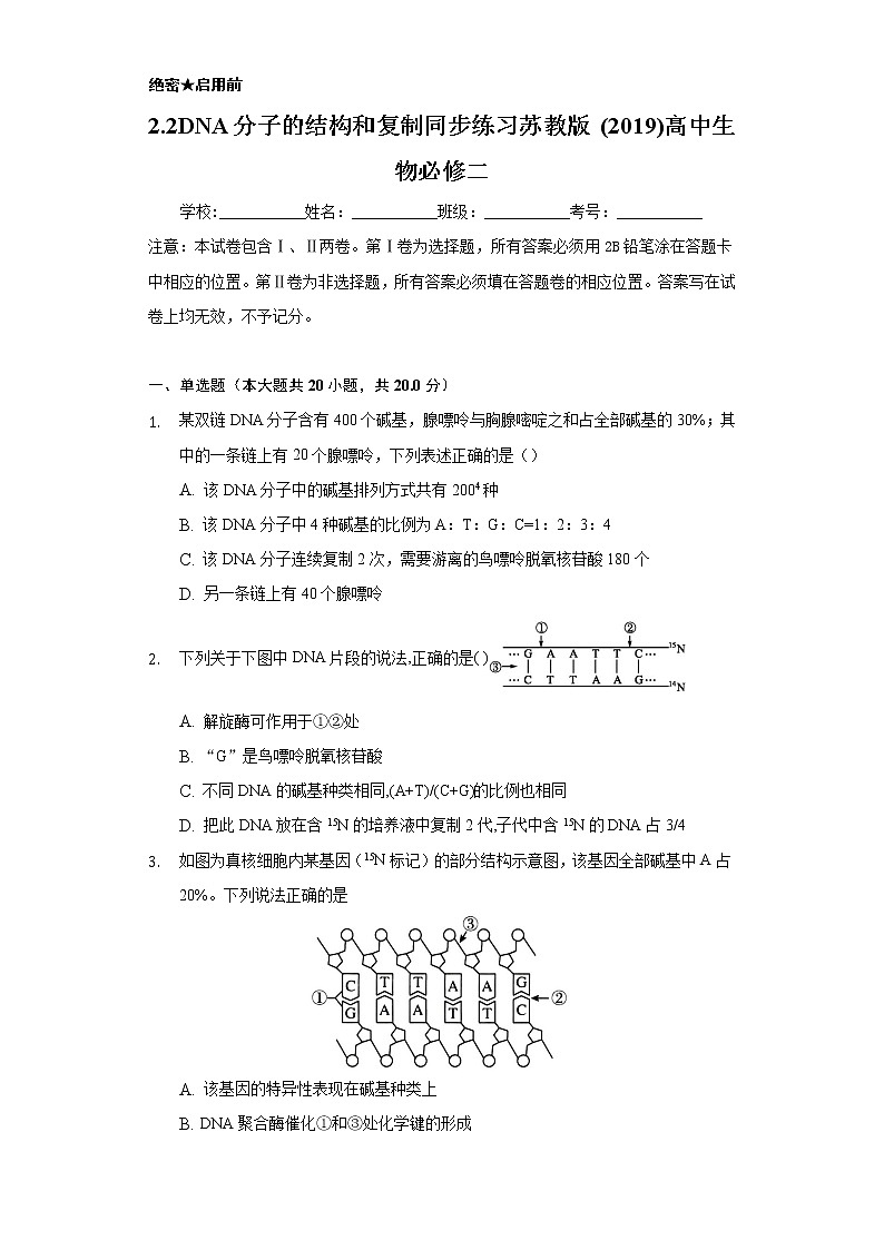 2.2DNA分子的结构和复制 同步练习苏教版(2019)高中生物必修一01