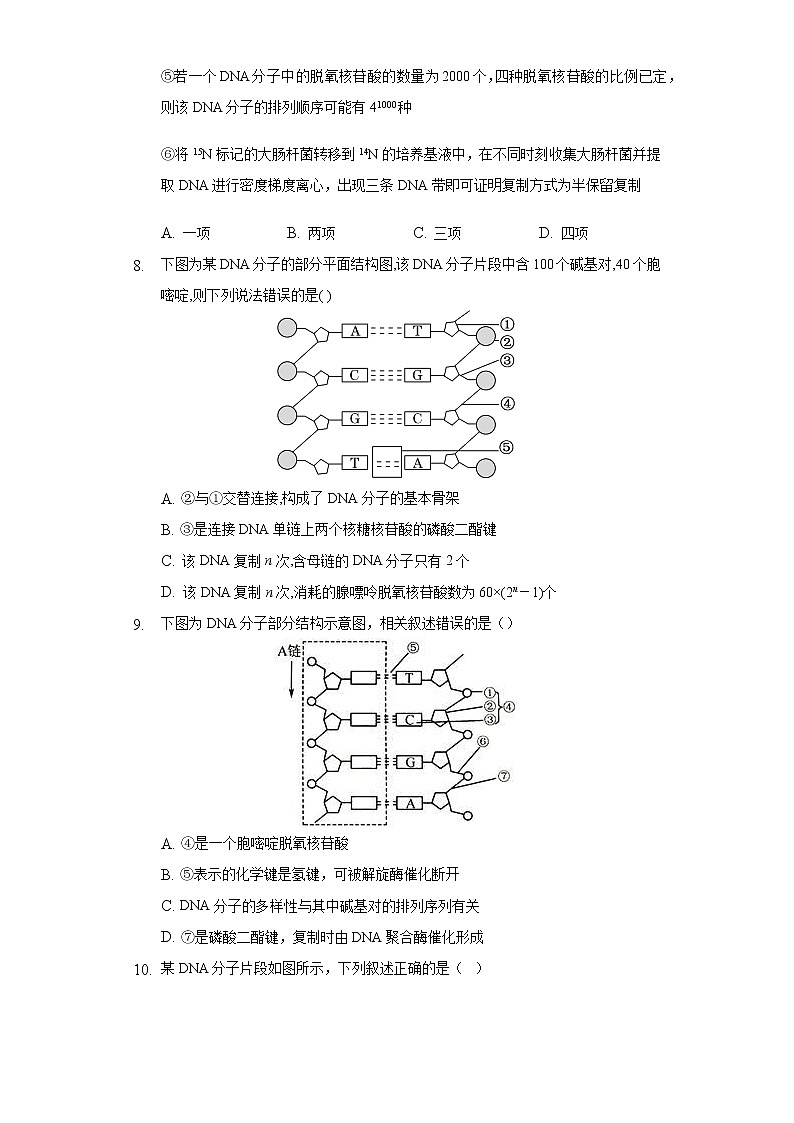 2.2DNA分子的结构和复制 同步练习苏教版(2019)高中生物必修一03