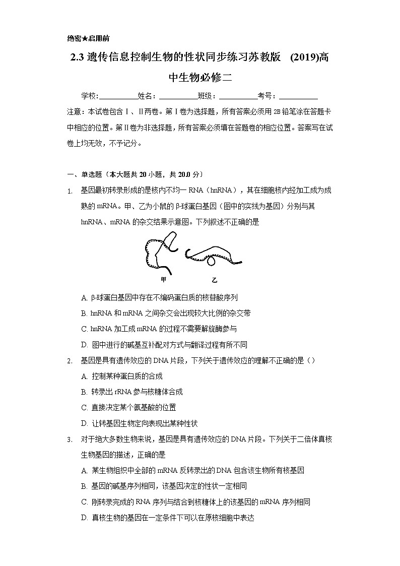 2.3遗传信息控制生物的性状  同步练习苏教版(2019)高中生物必修一01