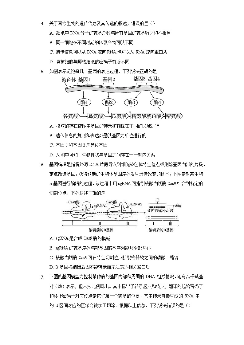 2.3遗传信息控制生物的性状  同步练习苏教版(2019)高中生物必修一02