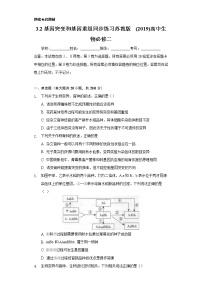 高中生物第三章 生物的变异第二节 基因突变和基因重组本节综合与测试课时练习