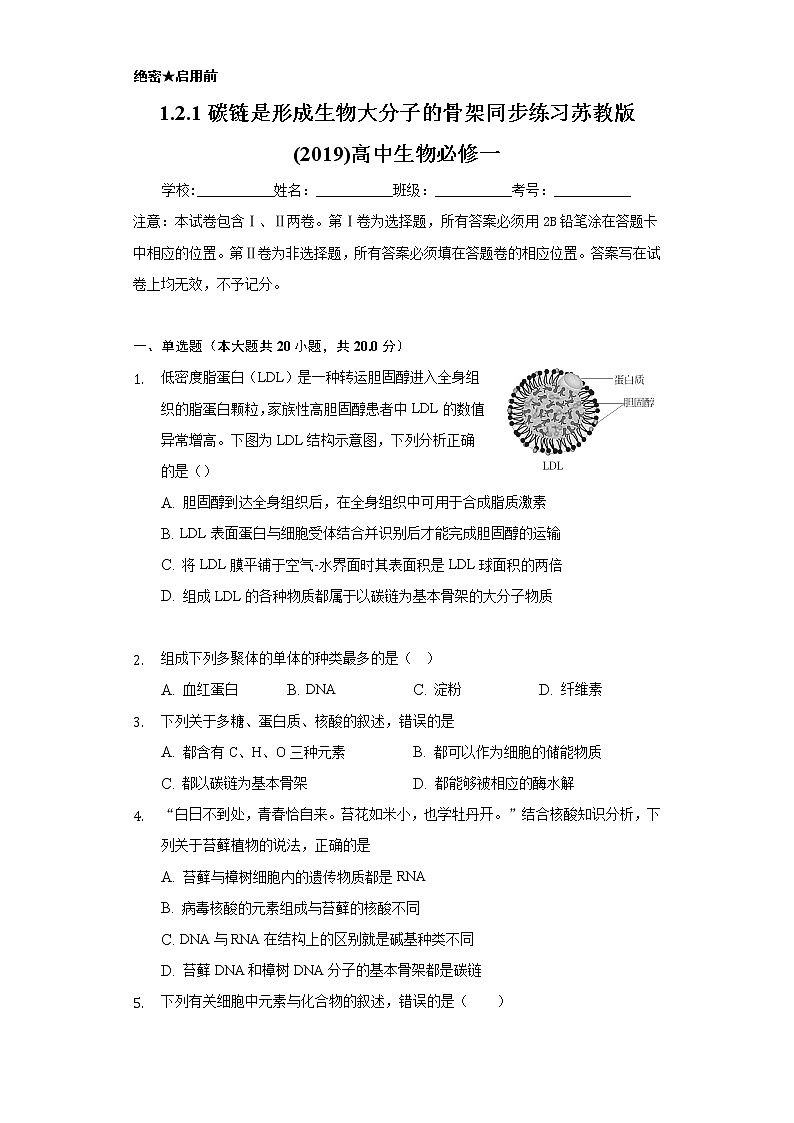 1.2.1碳链是形成生物大分子的骨架  同步练习苏教版(2019)高中生物必修一01