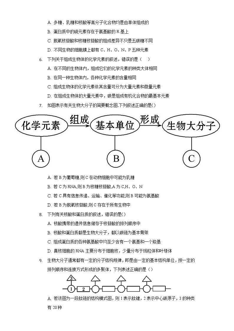 1.2.1碳链是形成生物大分子的骨架  同步练习苏教版(2019)高中生物必修一02