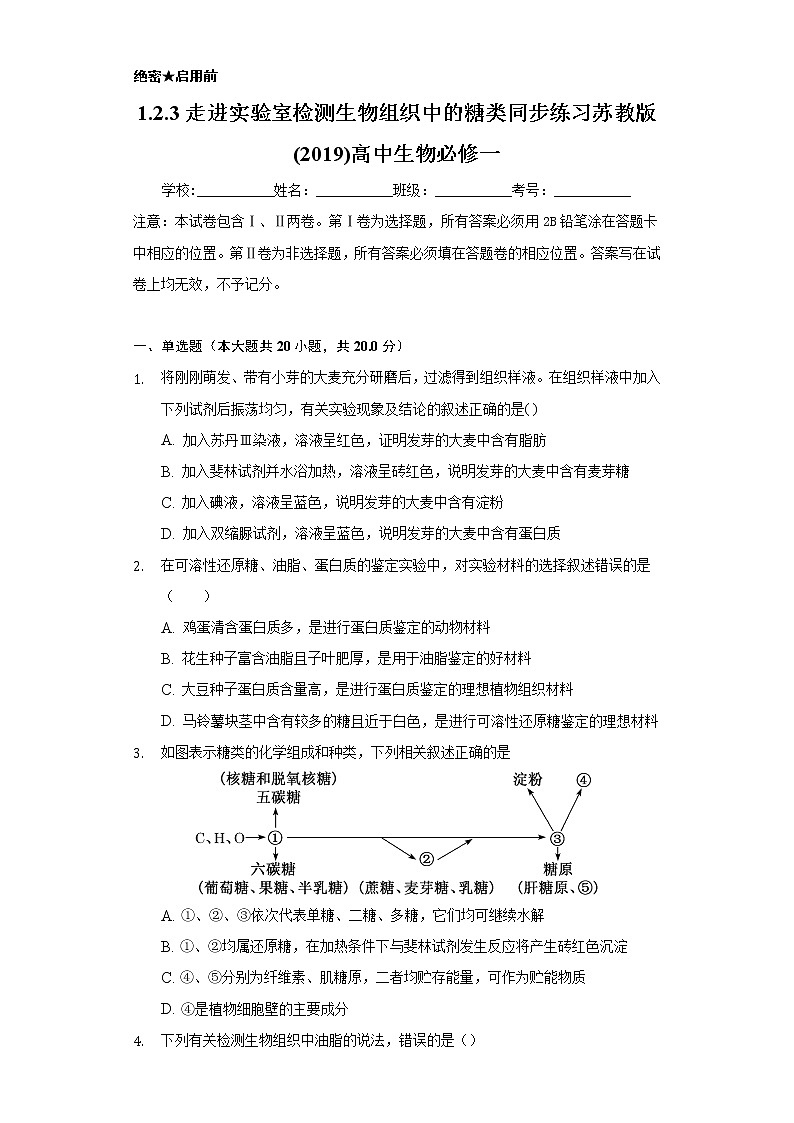 1.2.3走进实验室 检测生物组织中的糖类 同步练习苏教版(2019)高中生物必修一01