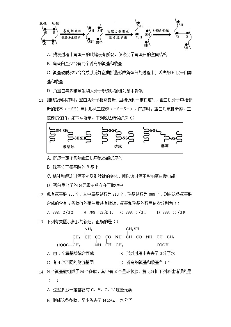 1.3.1细胞的功能主要由蛋白质完成  同步练习苏教版(2019)高中生物必修一03