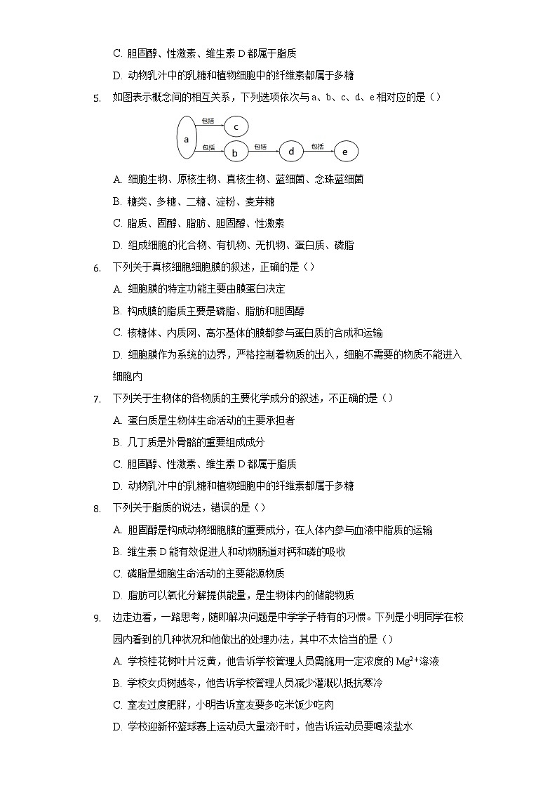 1.2.4脂质在维持细胞结构和功能中的作用  同步练习苏教版(2019)高中生物必修一02