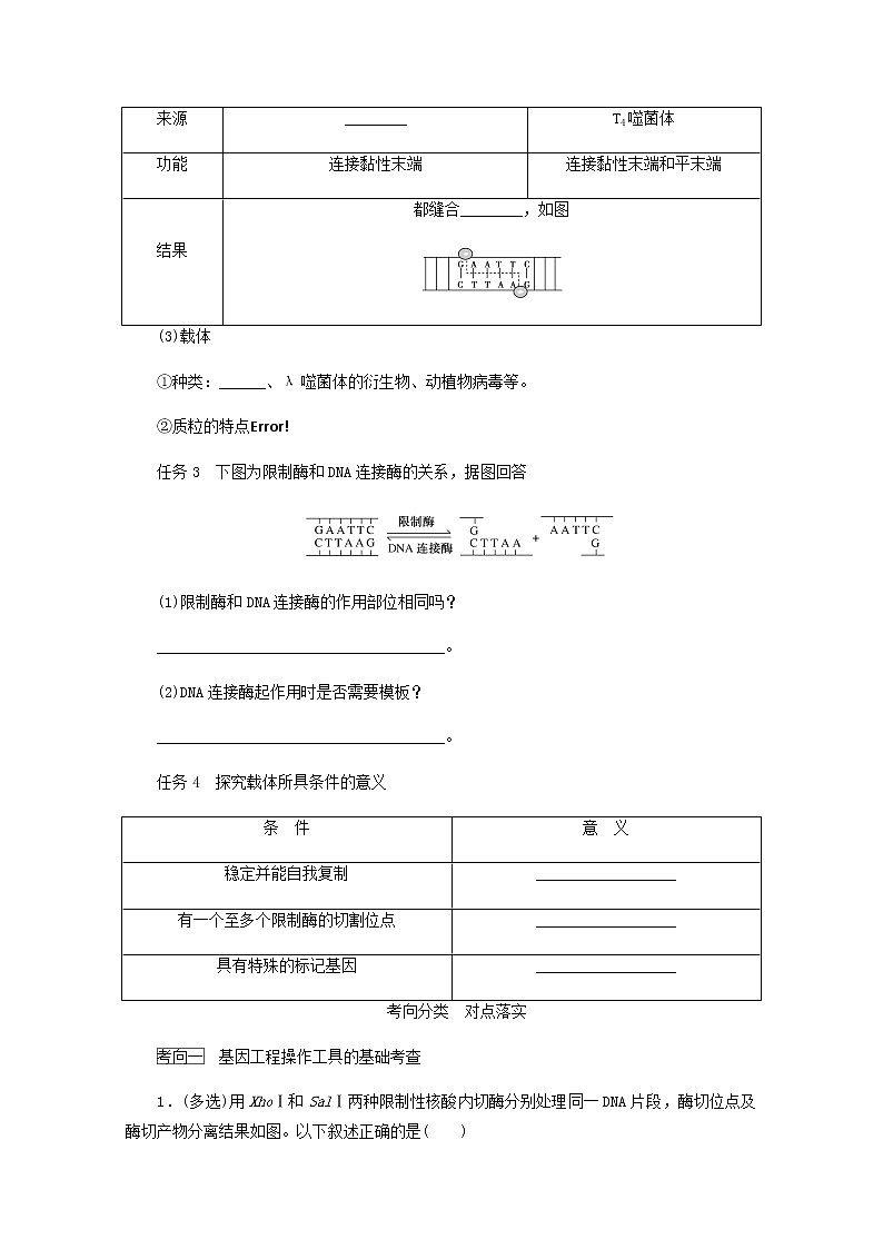 高考生物一轮复习现代生物科技专题1基因工程探究案含解析新人教版必修3学案02