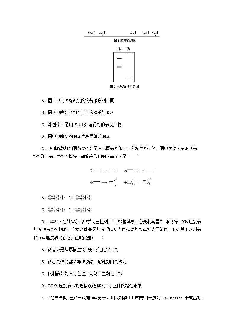 高考生物一轮复习现代生物科技专题1基因工程探究案含解析新人教版必修3学案03