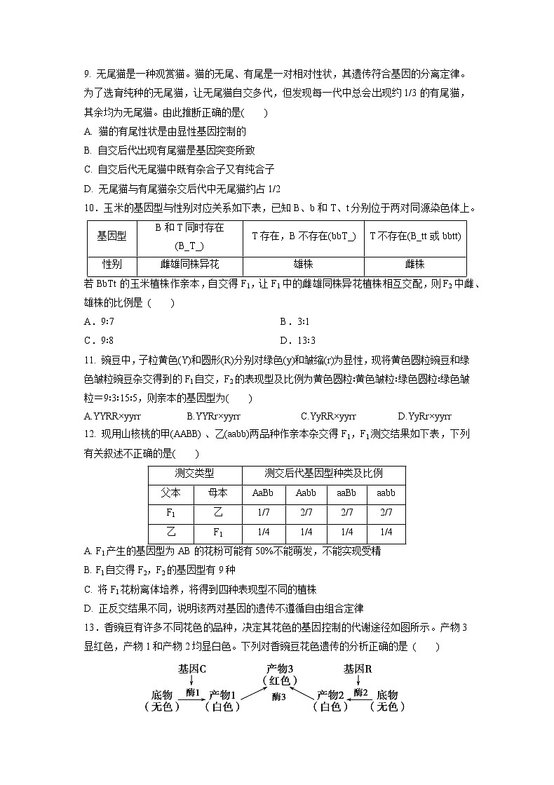 高中生物人教版必修二 1.2 孟德尔的豌豆杂交实验（二）课后作业4第3页
