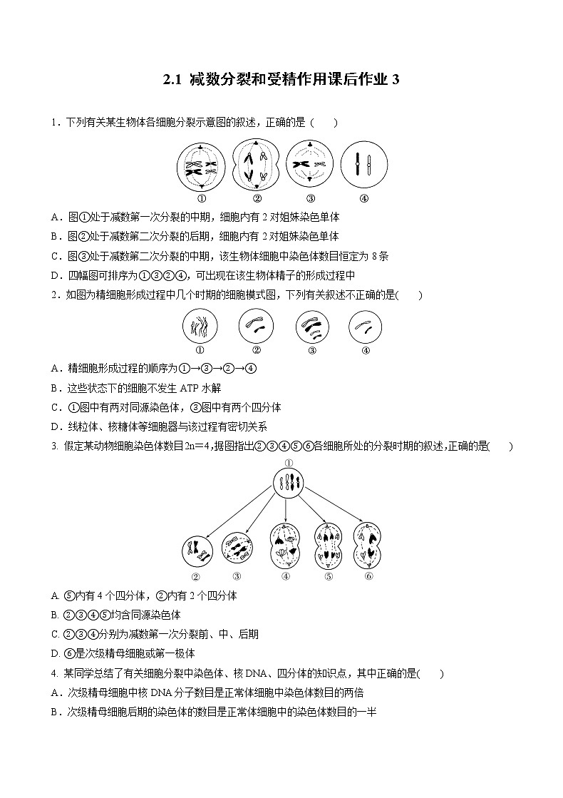 高中生物人教版必修二 2.1 减数分裂和受精作用课后作业3第1页