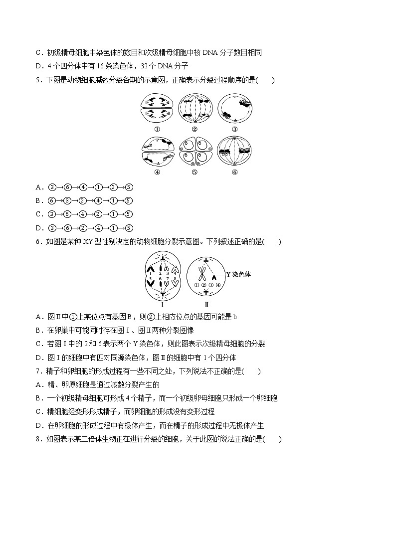 高中生物人教版必修二 2.1 减数分裂和受精作用课后作业3第2页