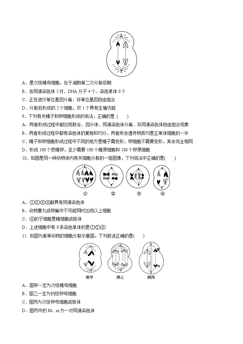 高中生物人教版必修二 2.1 减数分裂和受精作用课后作业3第3页