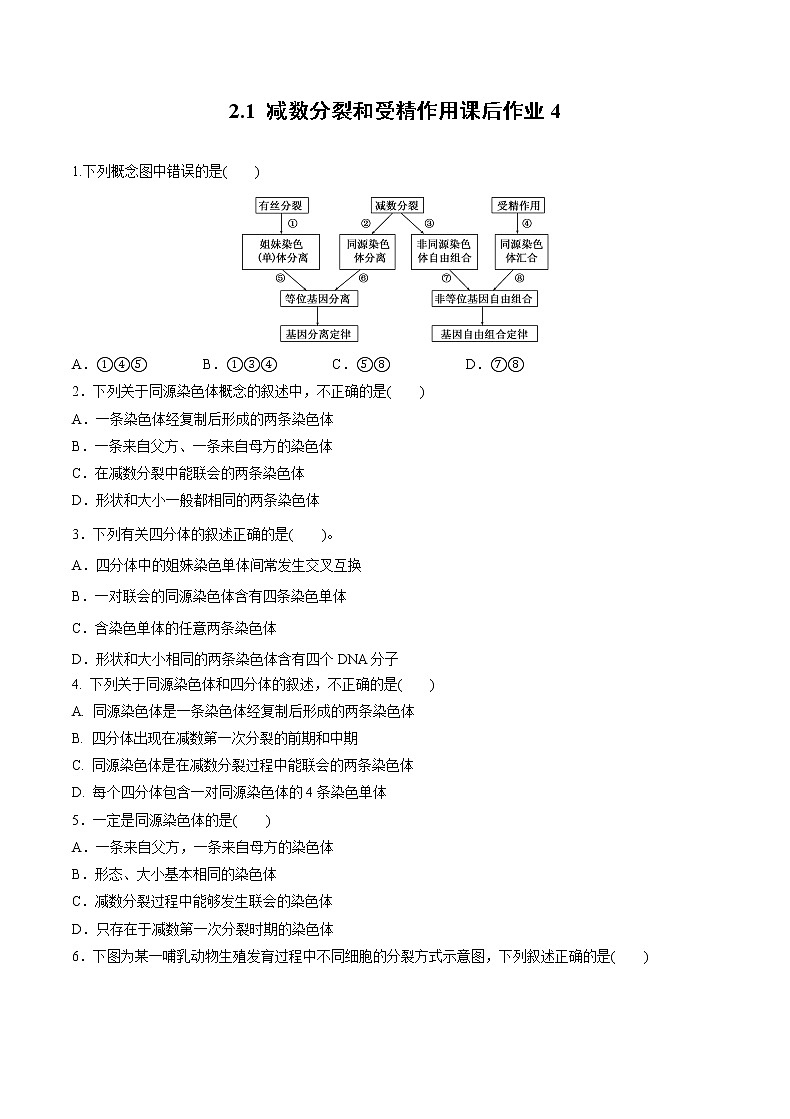 高中生物人教版必修二 2.1 减数分裂和受精作用课后作业4第1页
