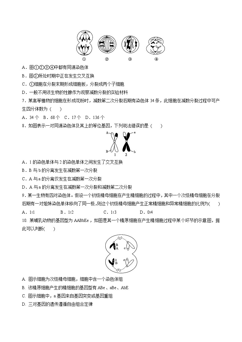 高中生物人教版必修二 2.1 减数分裂和受精作用课后作业4第2页