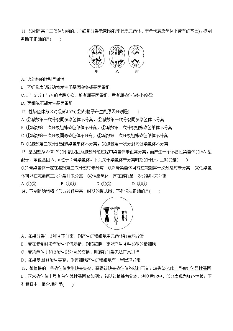 高中生物人教版必修二 2.1 减数分裂和受精作用课后作业4第3页