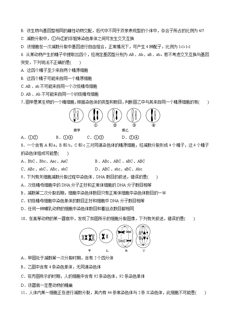 高中生物人教版必修二 2.1 减数分裂和受精作用课后作业2第2页
