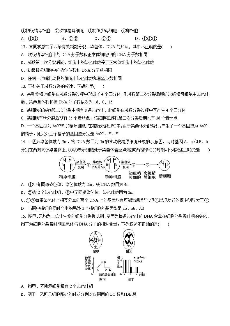 高中生物人教版必修二 2.1 减数分裂和受精作用课后作业2第3页