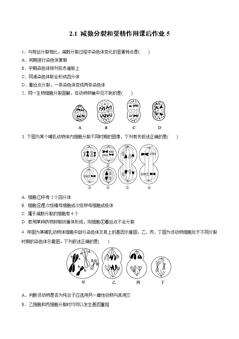 高中生物人教版必修二 2.1 减数分裂和受精作用课后作业5第1页