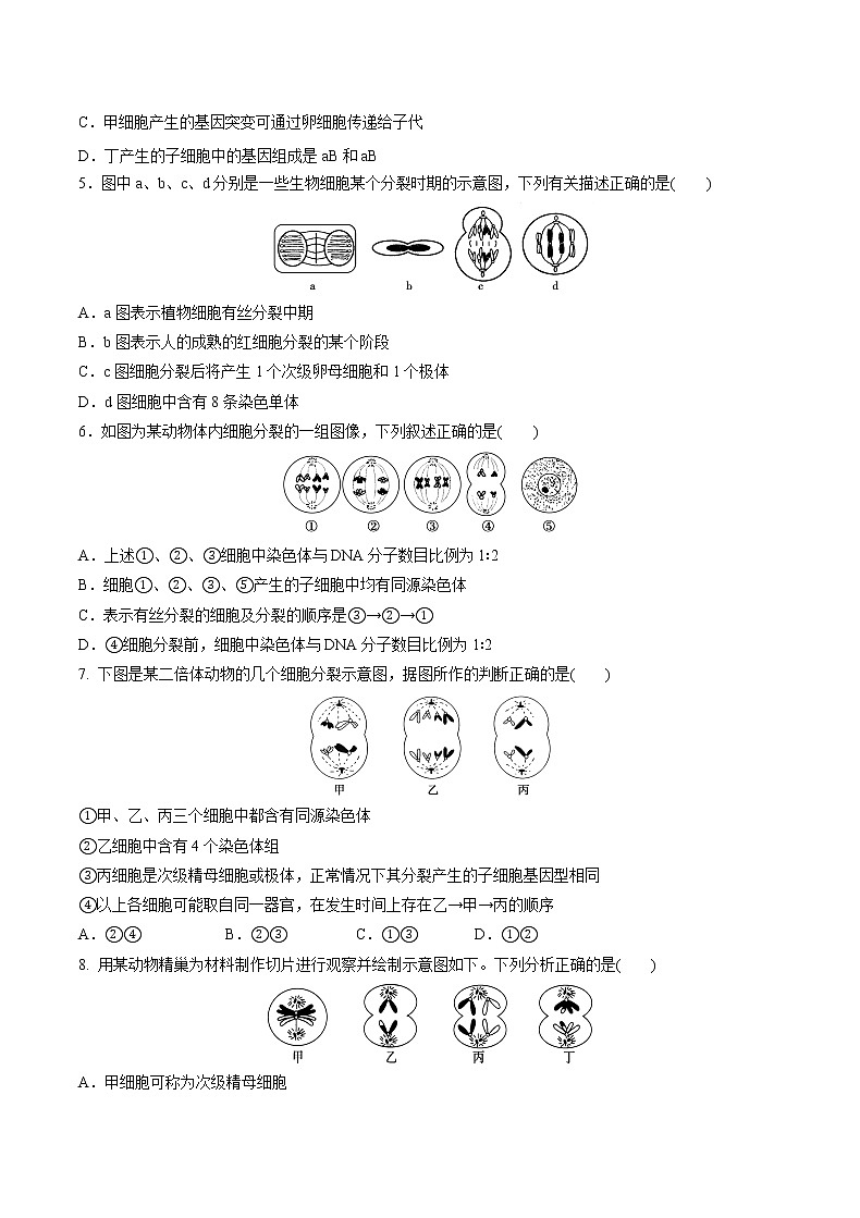 高中生物人教版必修二 2.1 减数分裂和受精作用课后作业5第2页