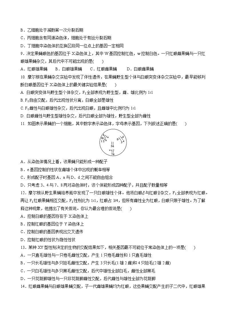 高中生物人教版必修二 2.1 减数分裂和受精作用课后作业5第3页