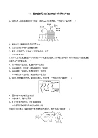 2020-2021学年第1节 基因指导蛋白质的合成复习练习题