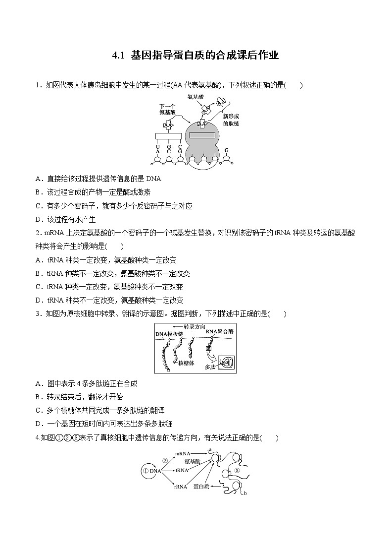 高中生物人教版必修二 4.1 基因指导蛋白质的合成课后作业第1页