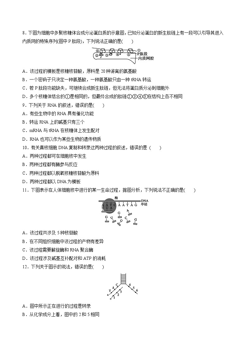 高中生物人教版必修二 4.1 基因指导蛋白质的合成课后作业第3页