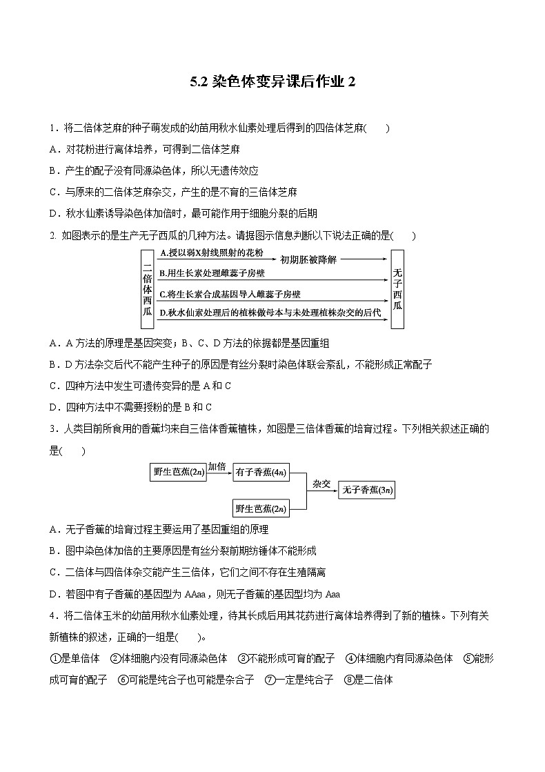 高中生物人教版必修二 5.2 染色体变异课后作业201