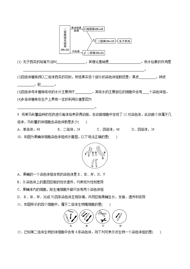 高中生物人教版必修二 5.2 染色体变异课后作业203