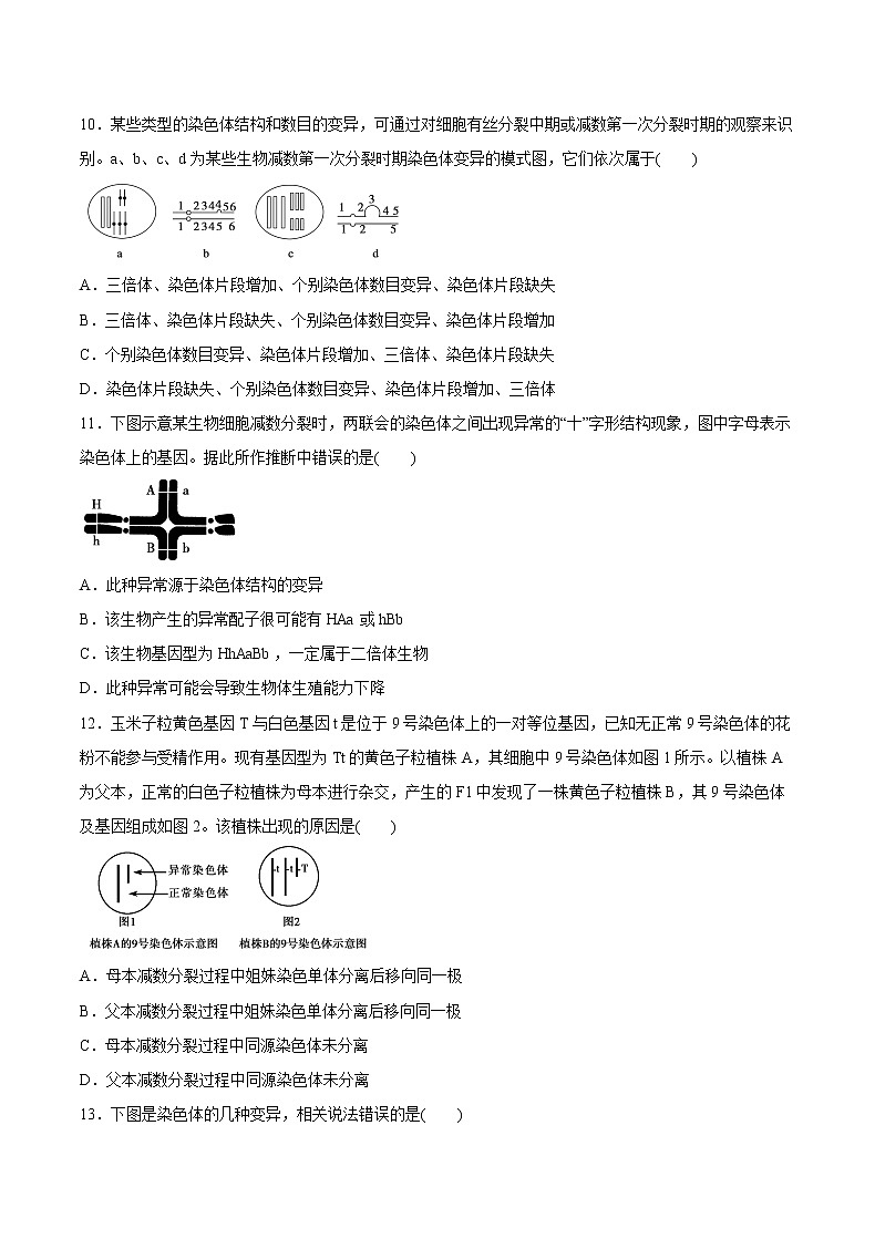 高中生物人教版必修二 6.1 杂交育种与诱变育种课后作业第3页