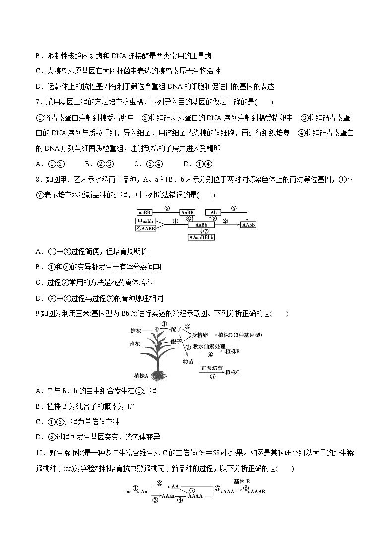 高中生物人教版必修二 6.2 基因工程及其应用课后作业02