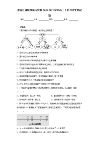 黑龙江省哈尔滨市宾县2020-2021学年高三9月月考生物试题（word版含答案）