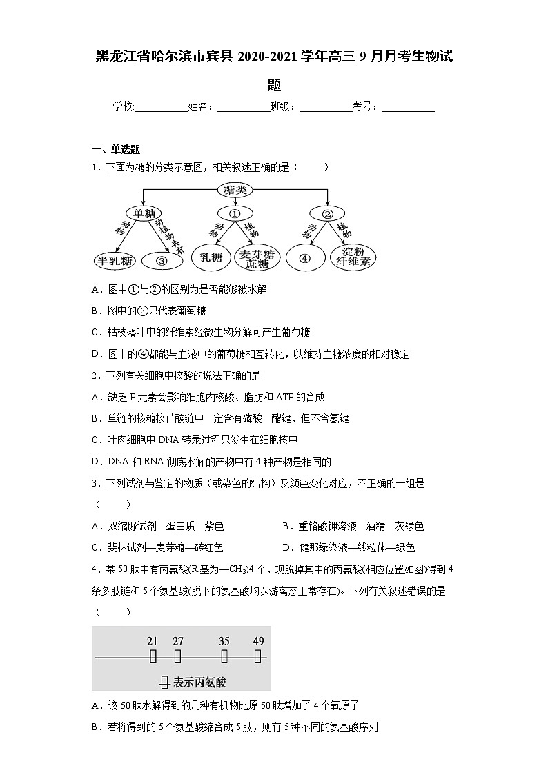 黑龙江省哈尔滨市宾县2020-2021学年高三9月月考生物试题（word版含答案）第1页